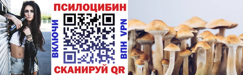 наркота  Западная Двина  Псилоцибиновые грибы мицелий 